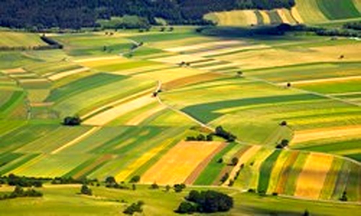 تقدیر حجتی از ۱۵۳ محقق و کشاورز برتر کشور