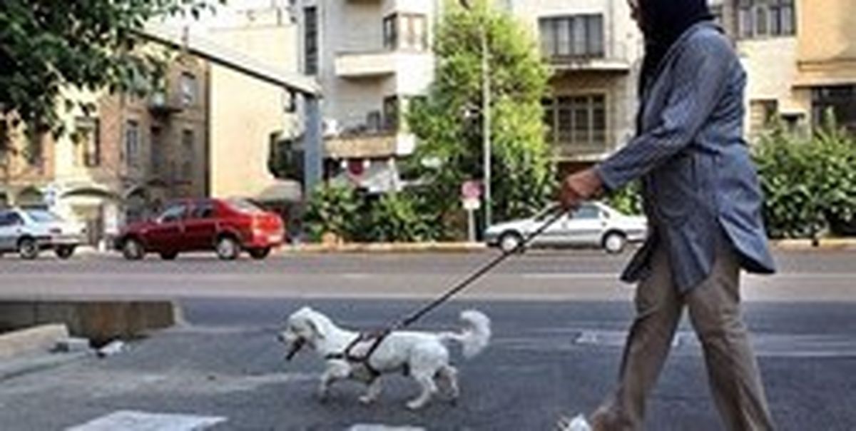 سگگردانها در اماکن عمومی بازداشت میشوند