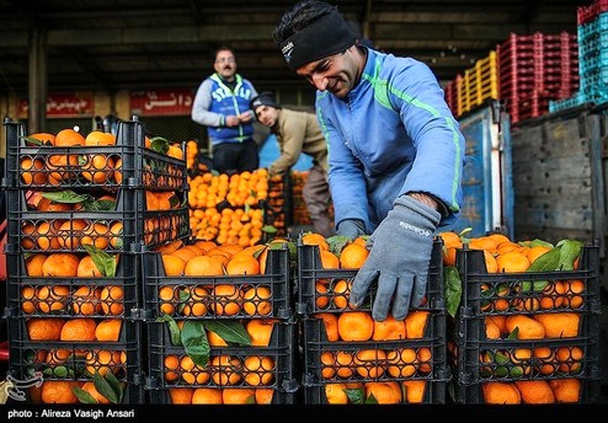 قیمت نجومی ۲۴ قلم میوه شب عید +جدول