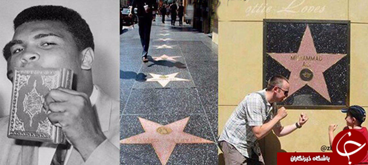 تنها ستاره هالیوود که روی دیوار است +عکس