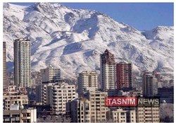بنگاههای املاک یک پای گرانی اخیر مسکن هستند