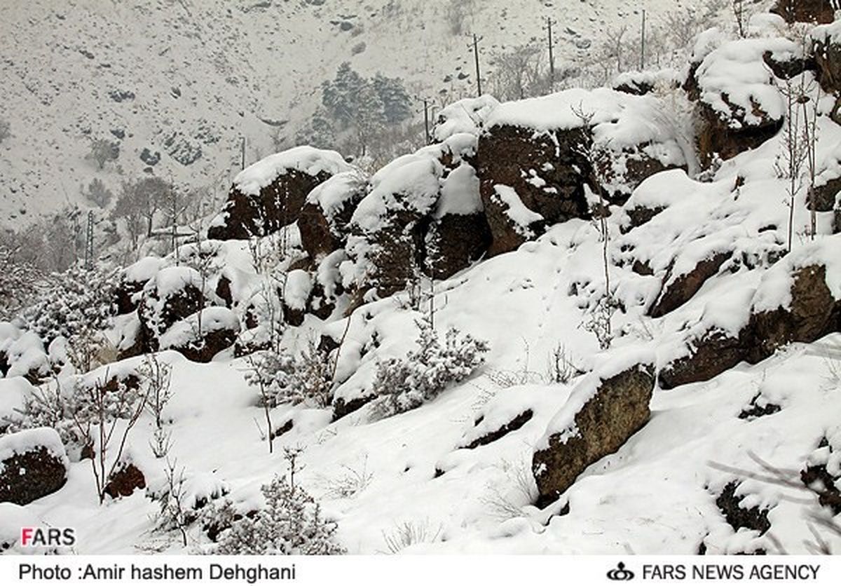 بارش برف در تهران