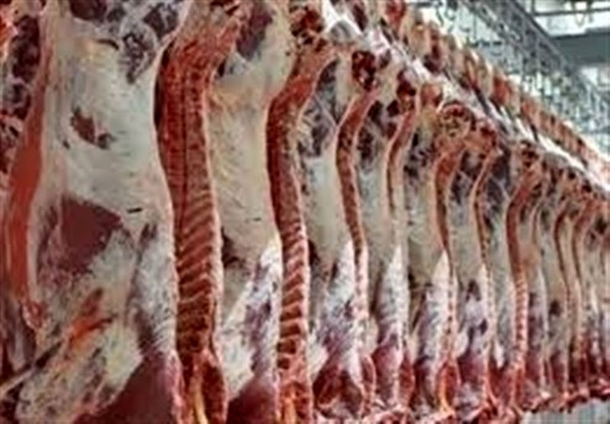 قیمت خرید هر کیلو گوشت از دامداران چقدر شد؟