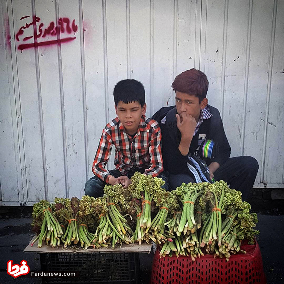 عکس: ما ۹۶ درصدی هستیم