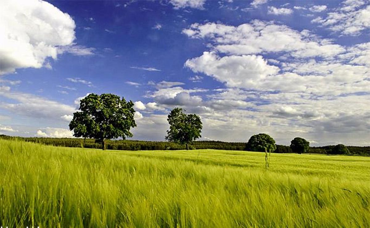 تصاویر زیبا و دیدنی از طبیعت