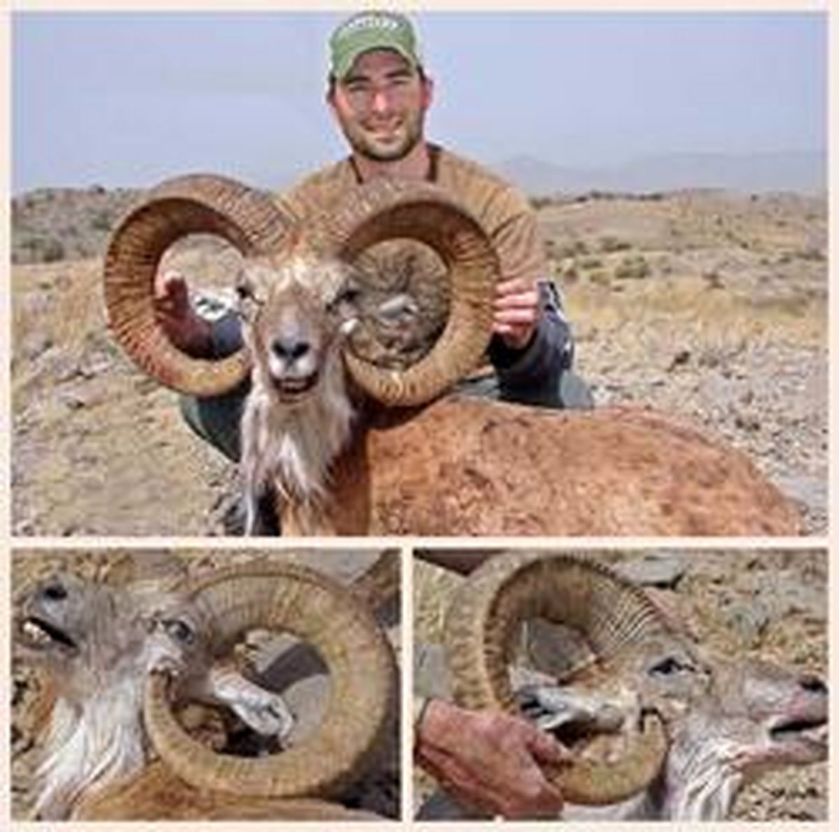 صحنه عجیب در حیات وحش شکارچى را غافلگیر کرد +عکس