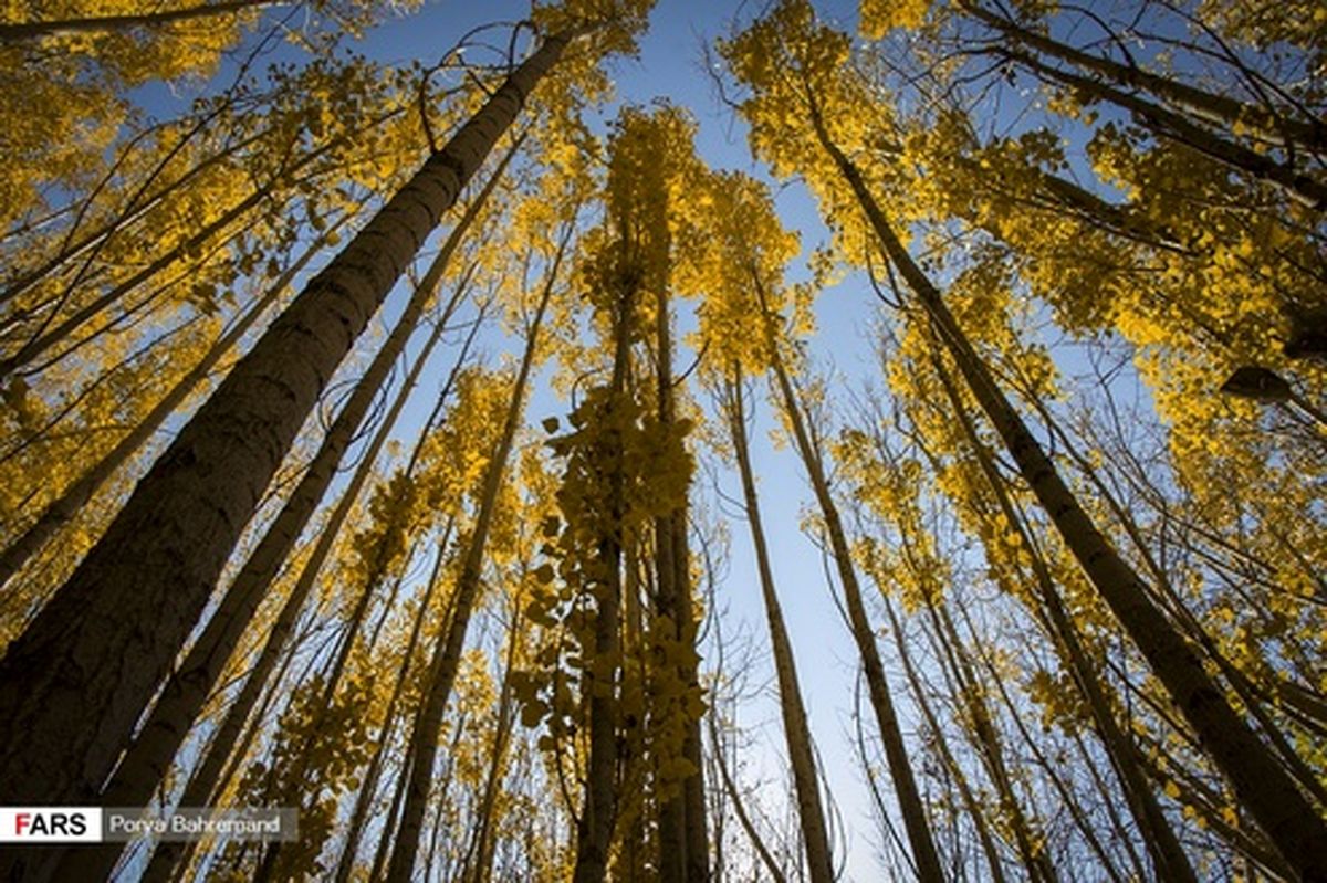 تصاویر: رنگین کمان فصل‌ها در خلخال