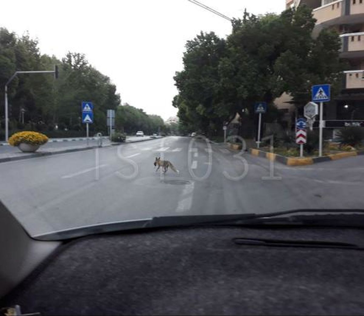 یک عکس عجیب و متفاوت از اصفهان در روزهای کرونایی