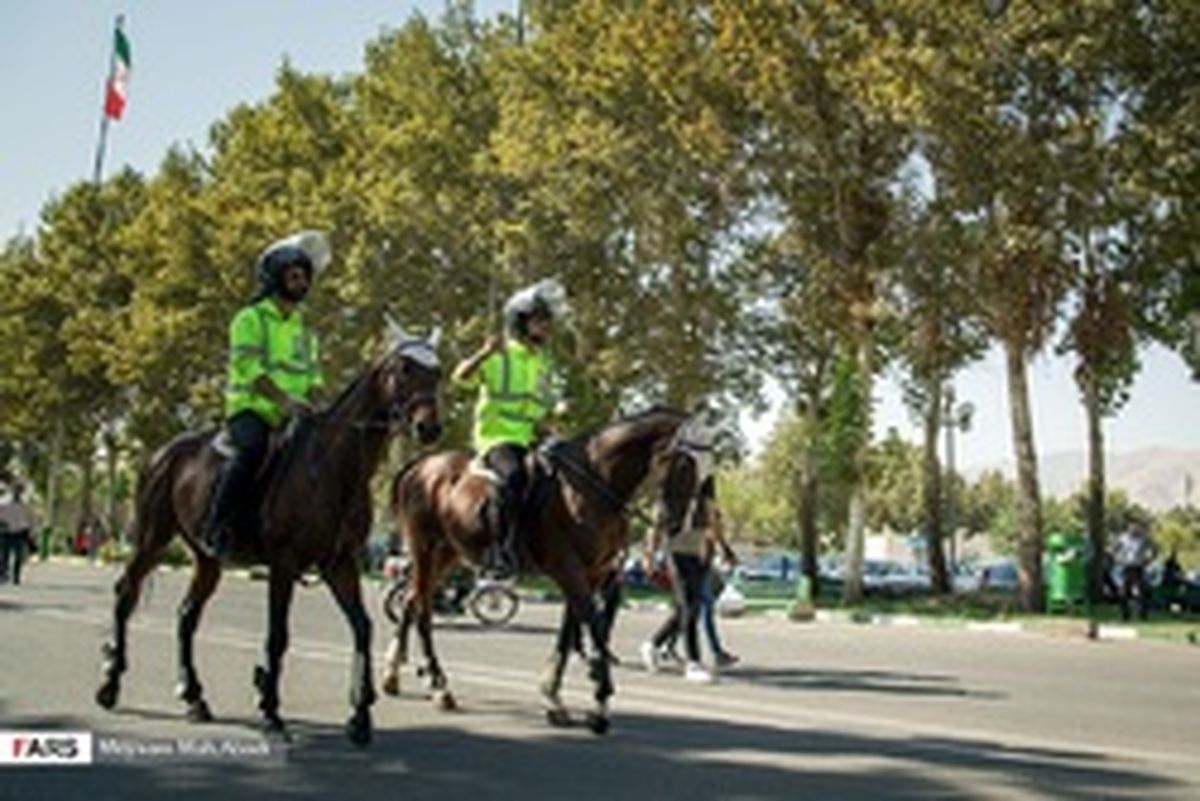 پلیس اسب سوار شهرآورد پایتخت +عکس