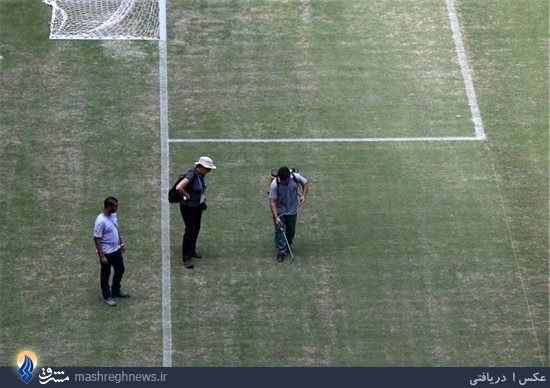 ترفندی که از شیراز به برزیل رسید/عکس