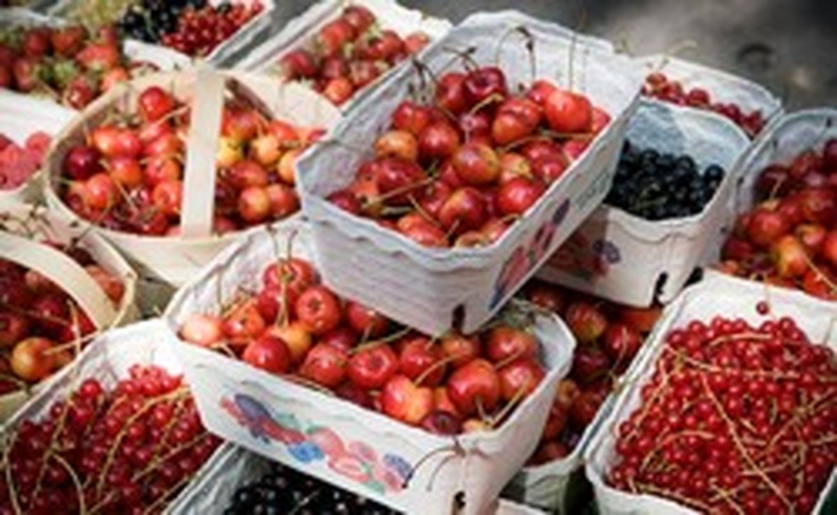 تصاویر: بازارهای محلی در برلین