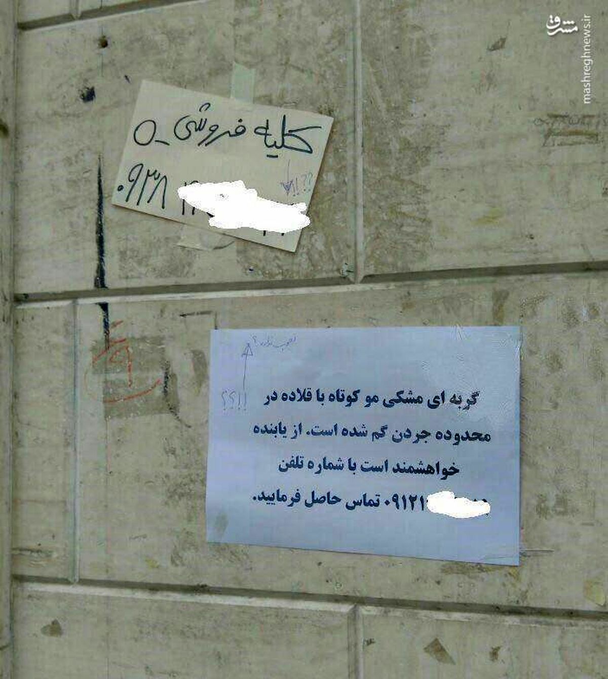 عکس: دو آگهی با یک دنیا فاصله در جردن