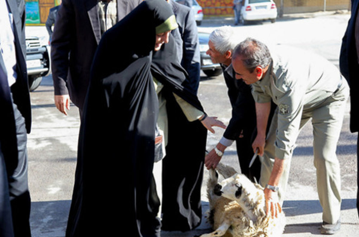 ابتکار مانع قربانی کردن گوسفند شد/عکس