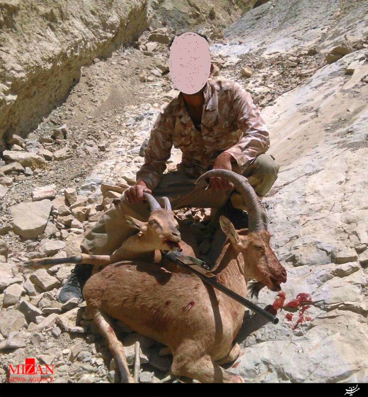 عکس یادگاری شکارچی را به دام انداخت +عکس