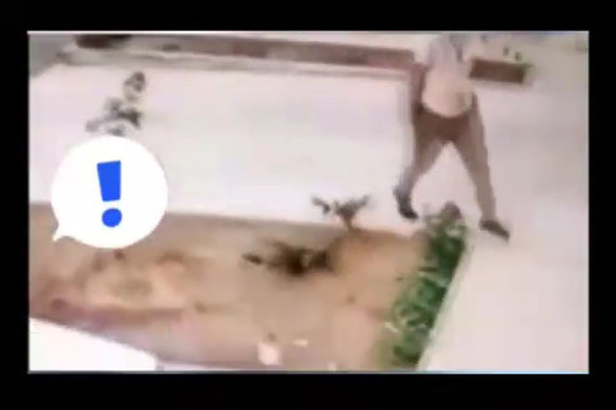 سرقت پراید در شهر پرند توسط دزد خوشتیپ +فیلم