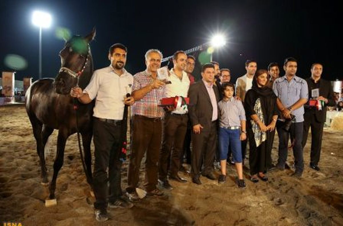 عکس/ قلعه نوعی در جشنواره اسب ایرانی