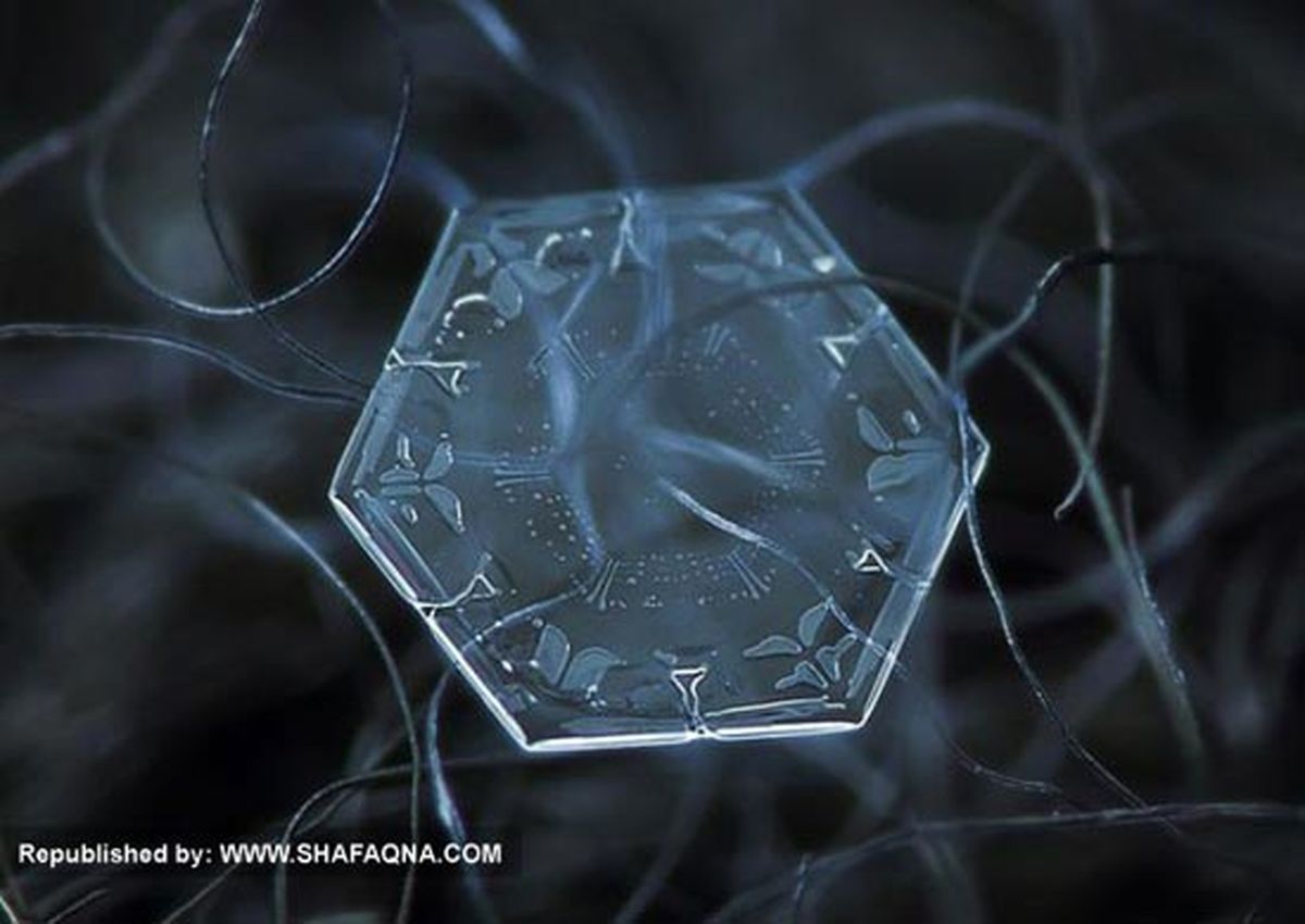 دانه های برف /عکس