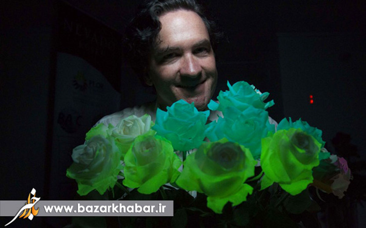 گل های رز فلورسنت