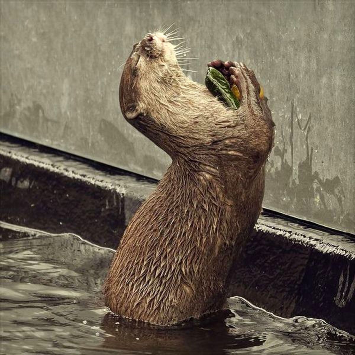 قدردانی!/ عکس