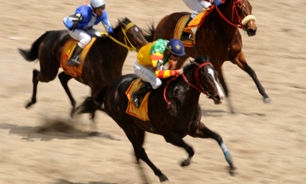 سرقت سه دقیقه ای در آمریکا/عکس