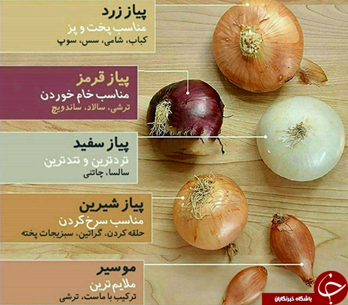 پیازها را بهتر بشناسید +عکس