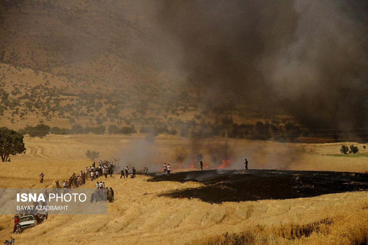 تصاویر: آتش سوزی در مزارع گندم کوهدشت