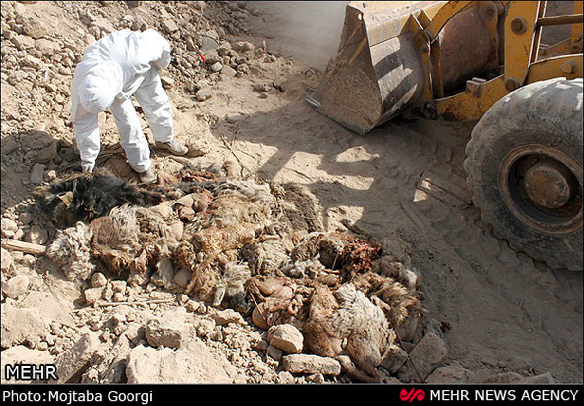 آواربرداری از مناطق زلزله زده خراسان جنوبی