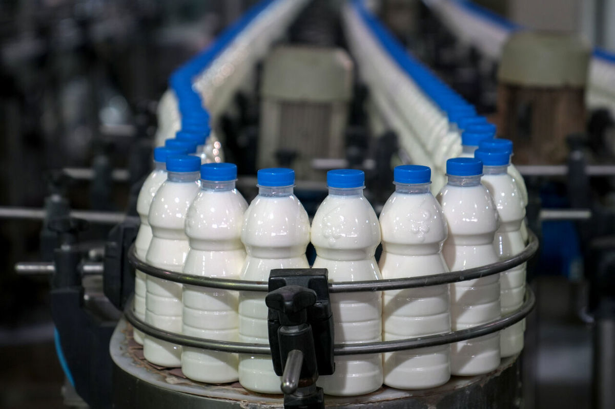 میدری: قیمت برخی از محصولات لبنیات لبنی کاهش می یابد