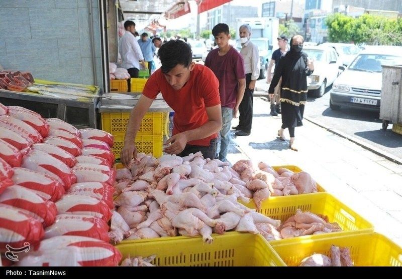 قیمت مرغ شوکه کننده گران شد | قیمت مرغ در بازار خردهفروشی