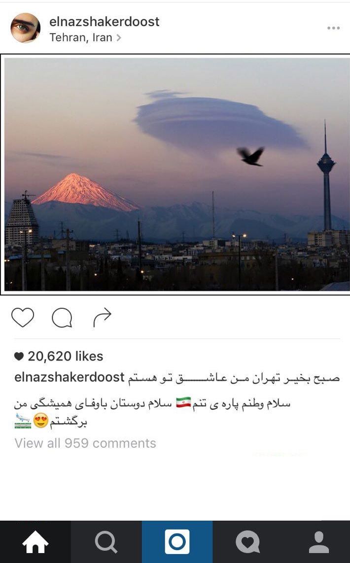 خانم بازیگر به وطن بازگشت +عکس