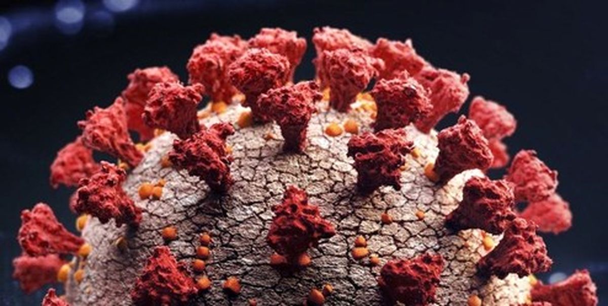 شناسایی گونه جدید کرونا در انگلیس