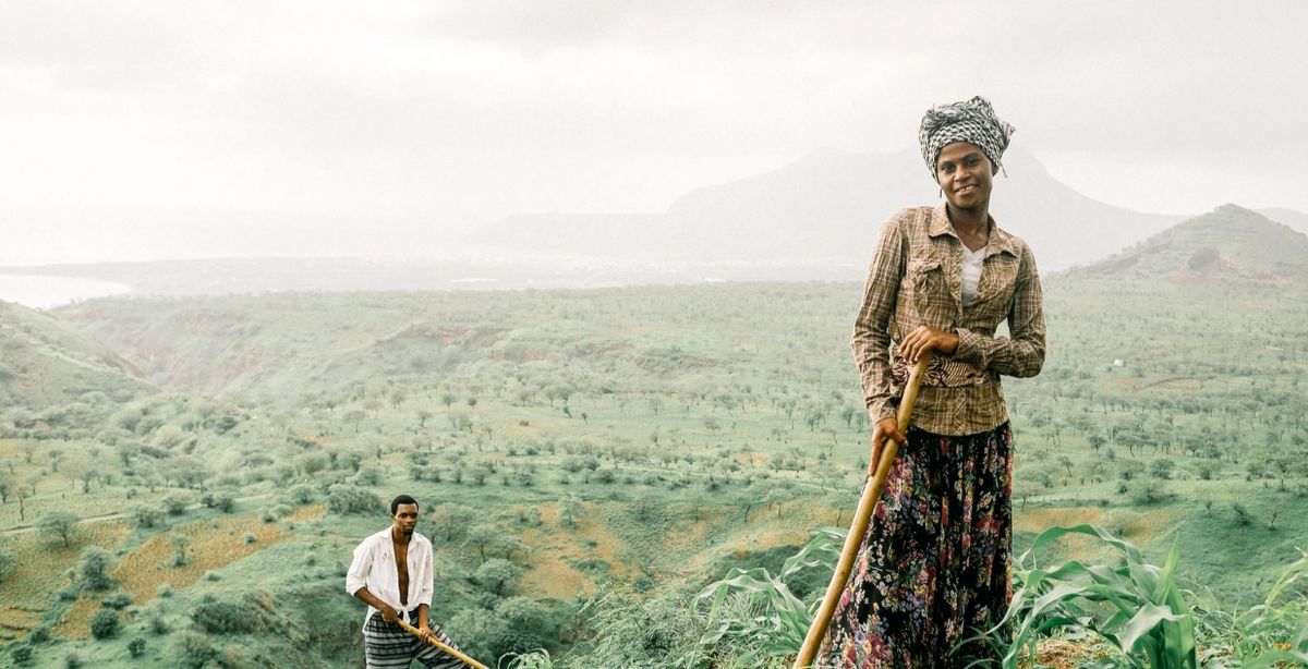 عکس: زوج کشاورز در قلب مزرعه ذرت سوژه شد!