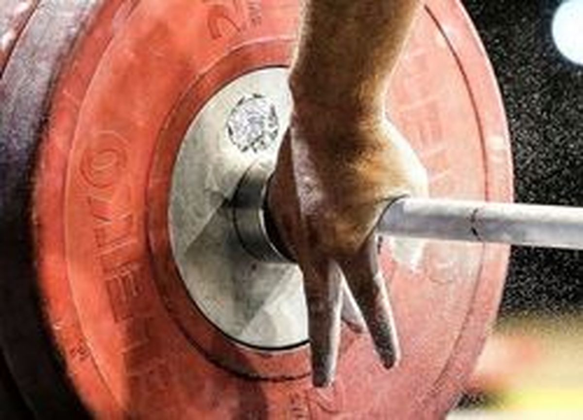 روادید تمامی اعضای تیم ملی وزنه برداری صادر شد