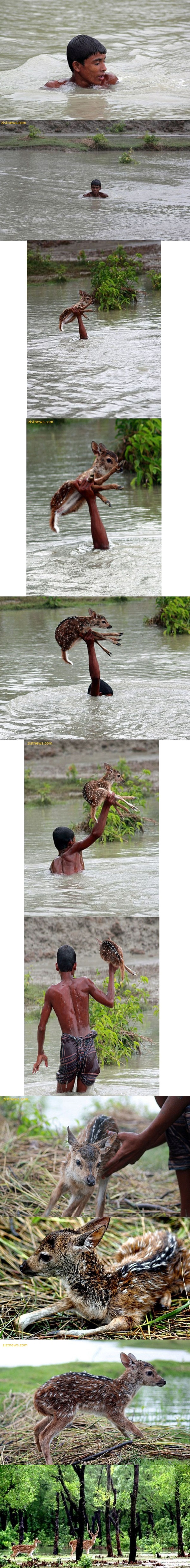 قهرمان بنگلادشی/تصاویر
