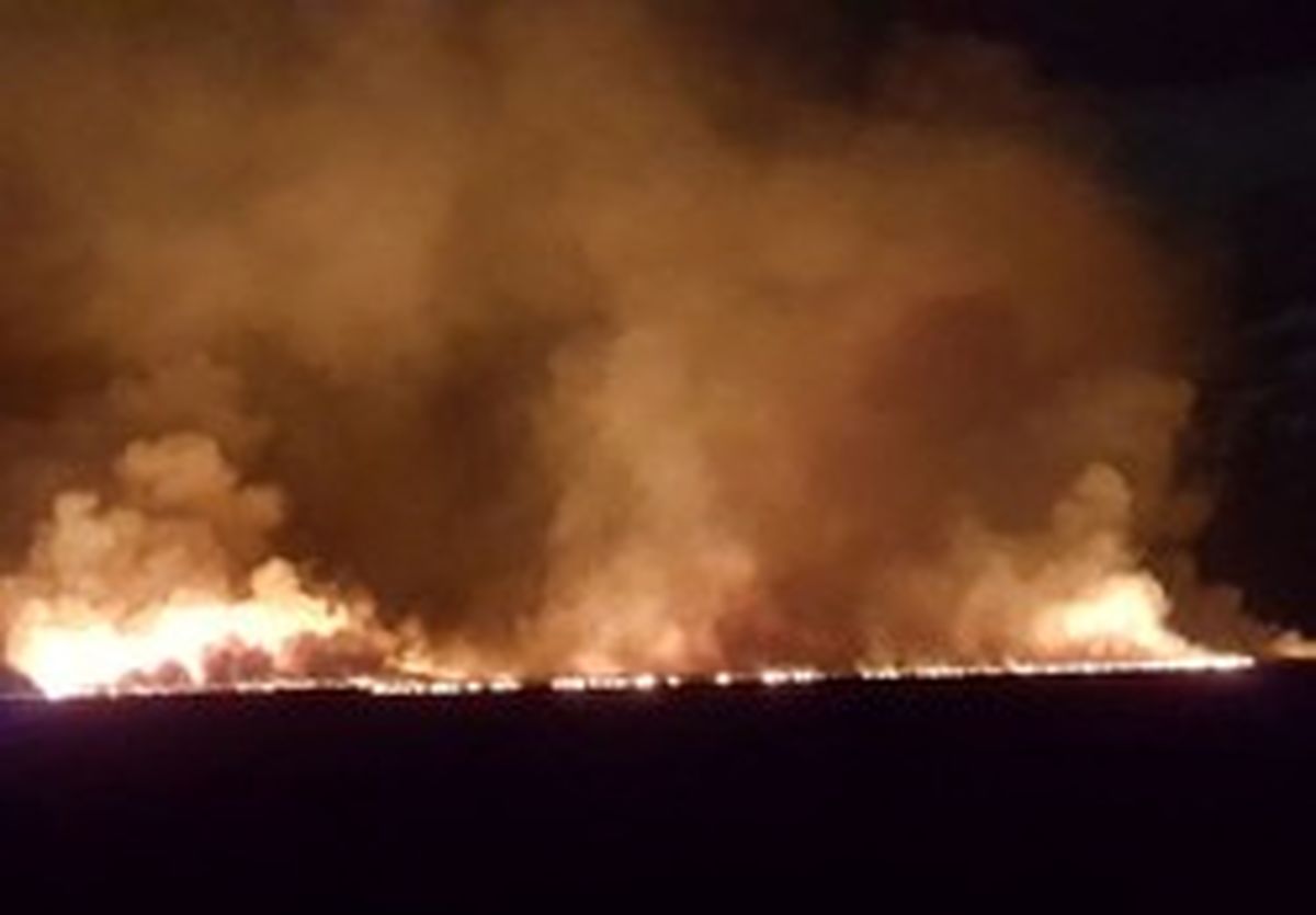 علت آتش‌سوزی در یکی از مخازن قیر بندرعباس