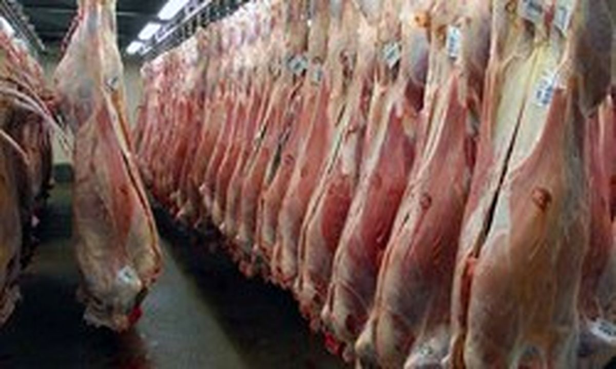 قیمت گوشت گوسفند و گوساله در بازار‌های میوه و تره‌بار