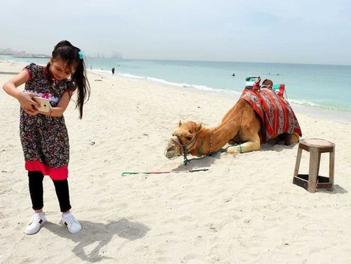 عکس: سلفی با شتر در ساحل عجمانِ امارات