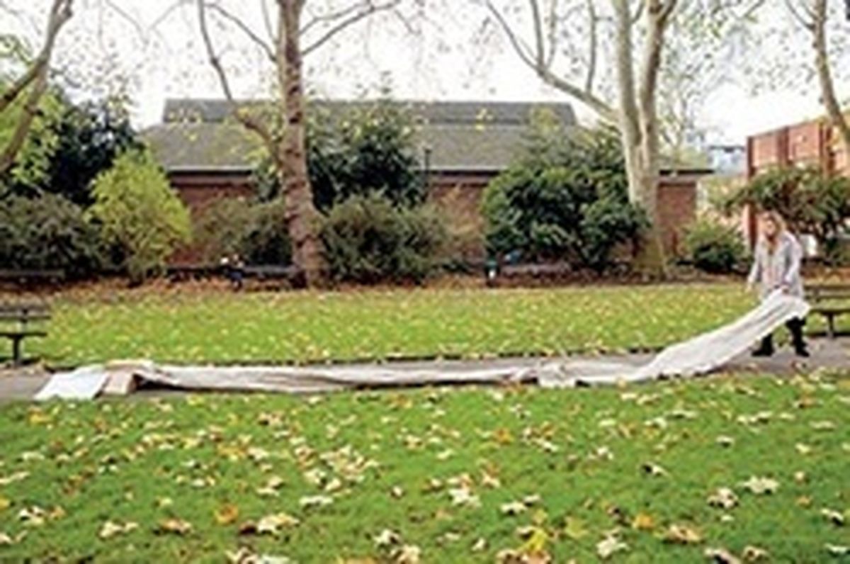 اعتراض به کاغذبازی آمازون +عکس