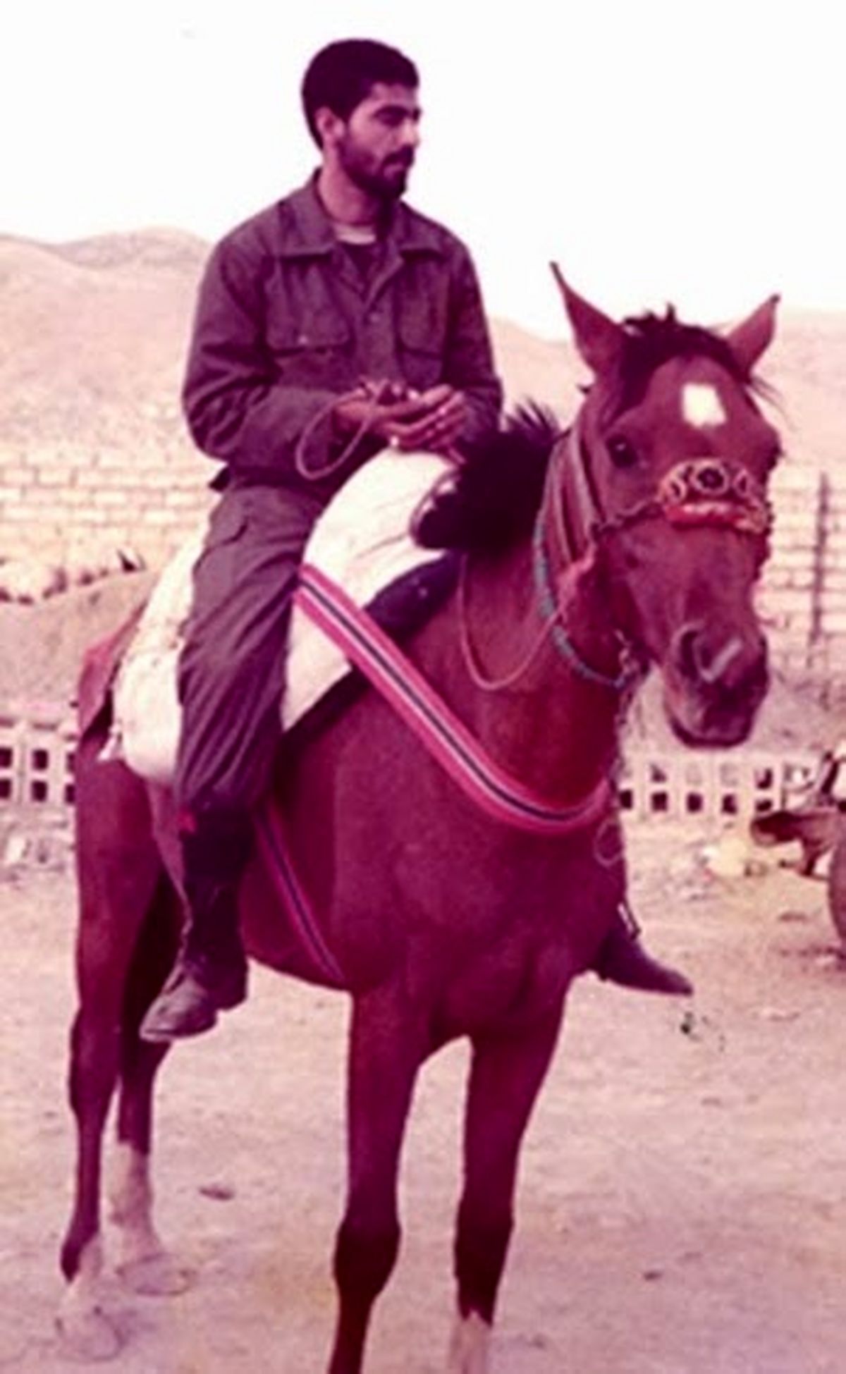 سوارکاری سردار سلیمانی/عکس