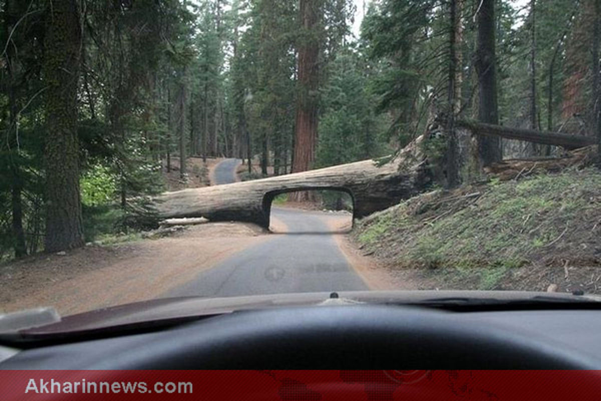 عکس/ تونلی جالب برای عبور خودروها !