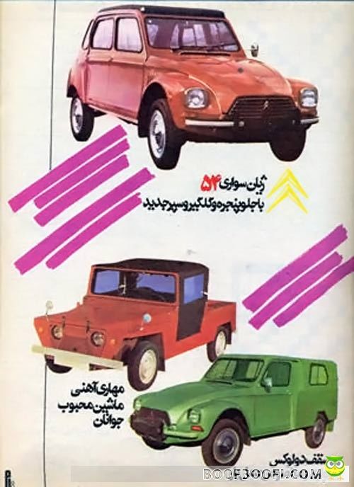 انواع ژیان/ عکس