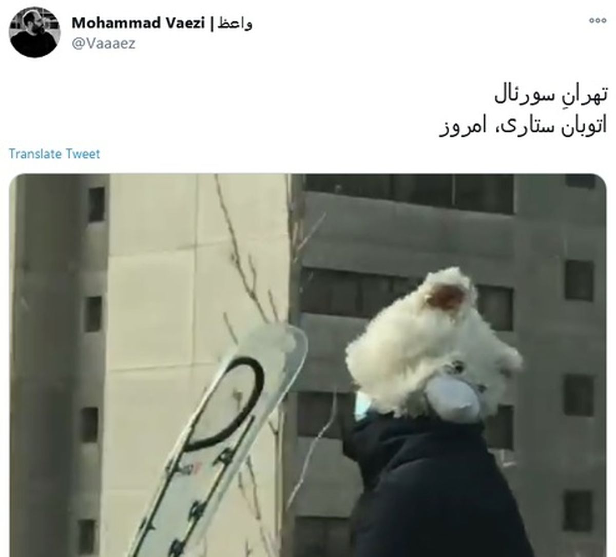 صحنه عجیب در اتوبان ستاری +عکس