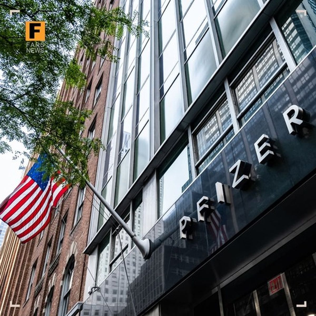 گزارش رسمی آمریکا از بلای فایزر