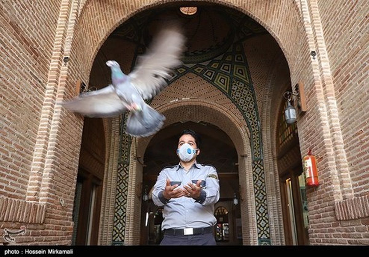 تصاویر: پرواز صدها کبوتر برای سپاس ار زحمات کادر درمان
