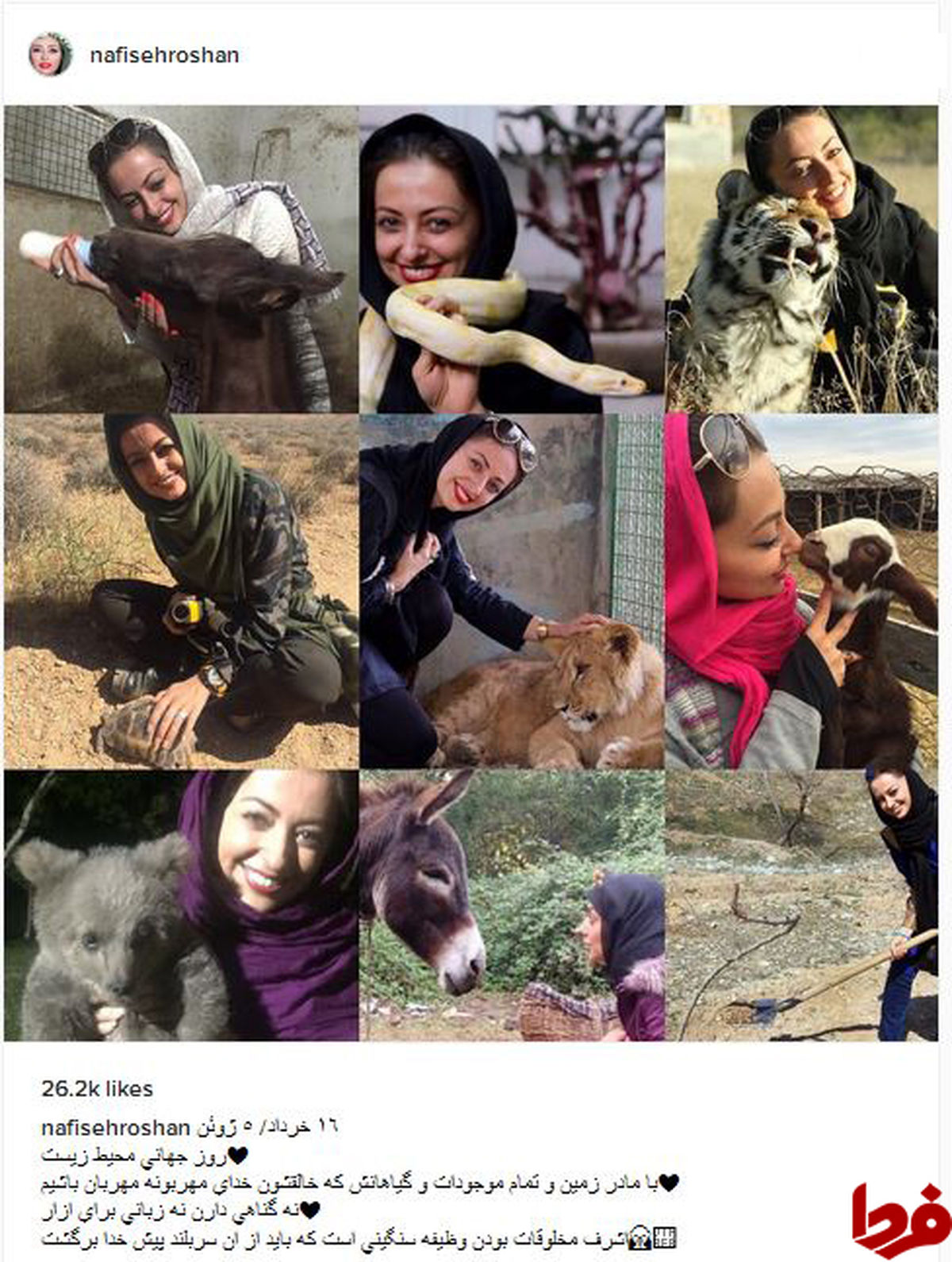 حیوان دوستی خانم بازیگر به روایت تصویر