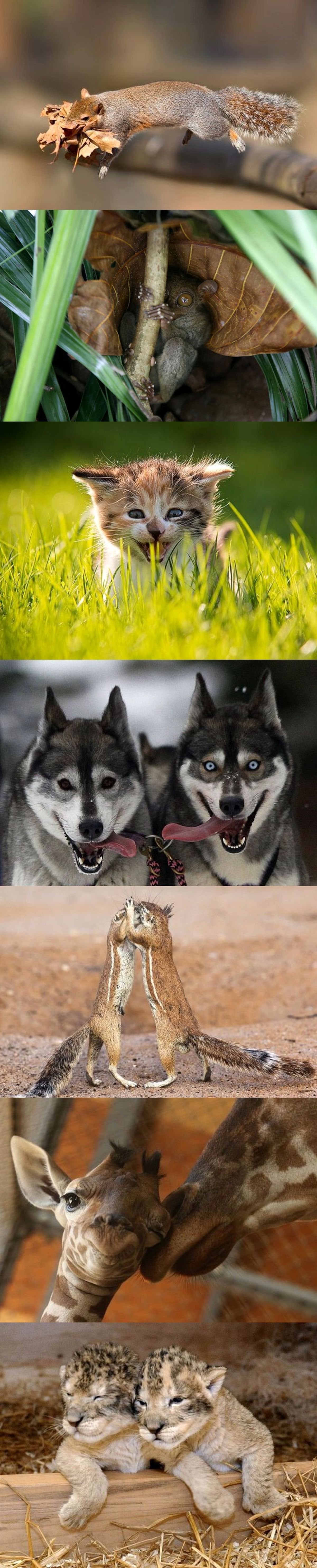 تصاویر/ بدون شرح