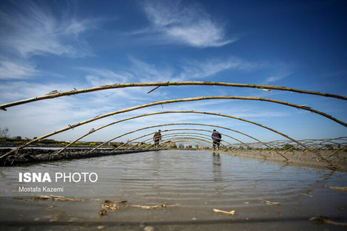 کاهش ۳ تا ۵ درجه‌ای دما در شمال کشور/وزش باد نسبتا شدید در تهران