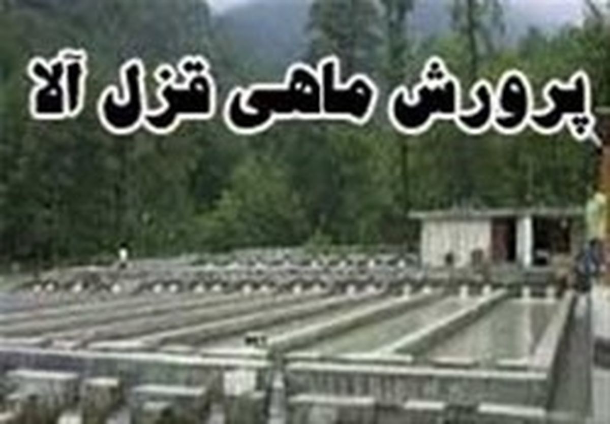 خودکفایی ایران در تولید تخم چشم‌زده ماهی قزل‌آلا