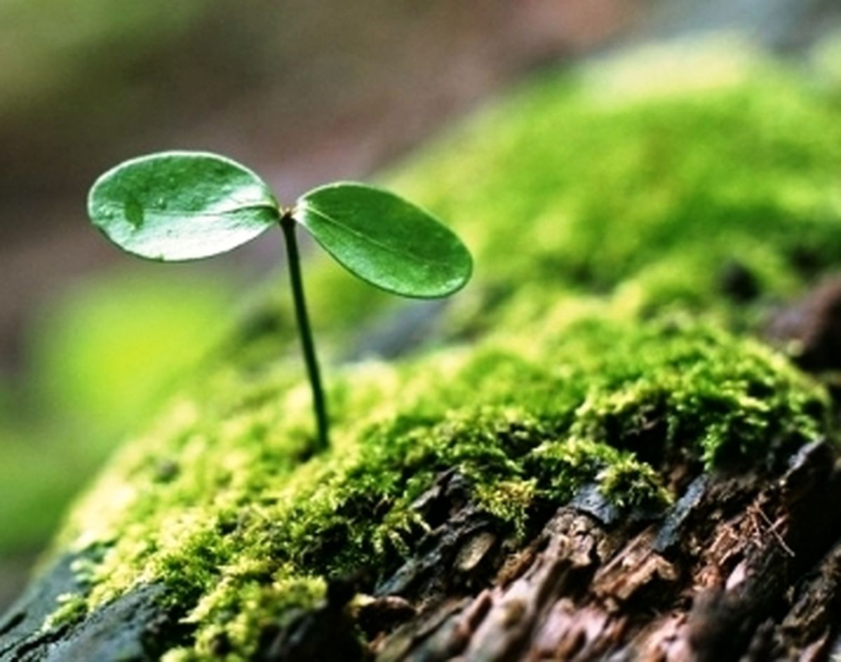 مفهوم«سبک زندگی»، فرصتی برای بازباوری دغدغههایمان