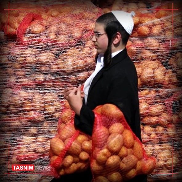 مهاجران صهیونیست: اسرائیل جای زندگی کردن نیست